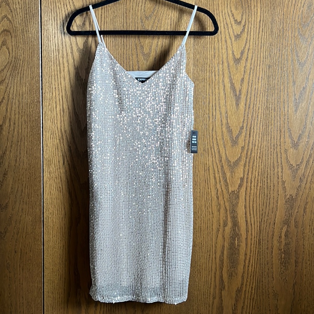 Express Sparkly Champagne colored mini dress, size small